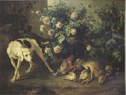 Francois Desportes Dog Guarding Game Near a Rosebush (mk05) oil on canvas